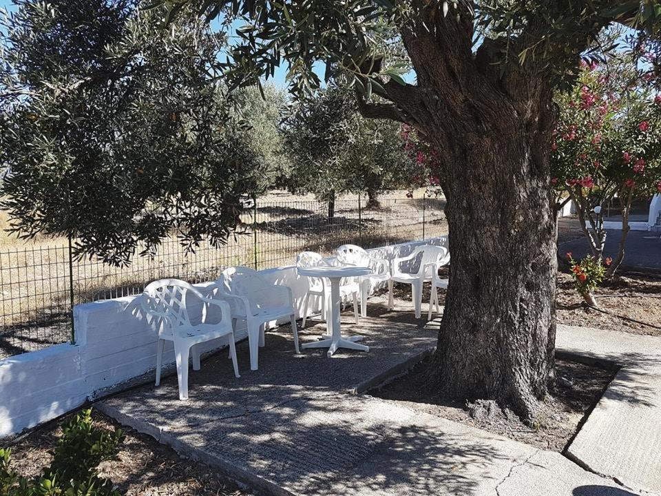 Chrisanthi Studios room 6